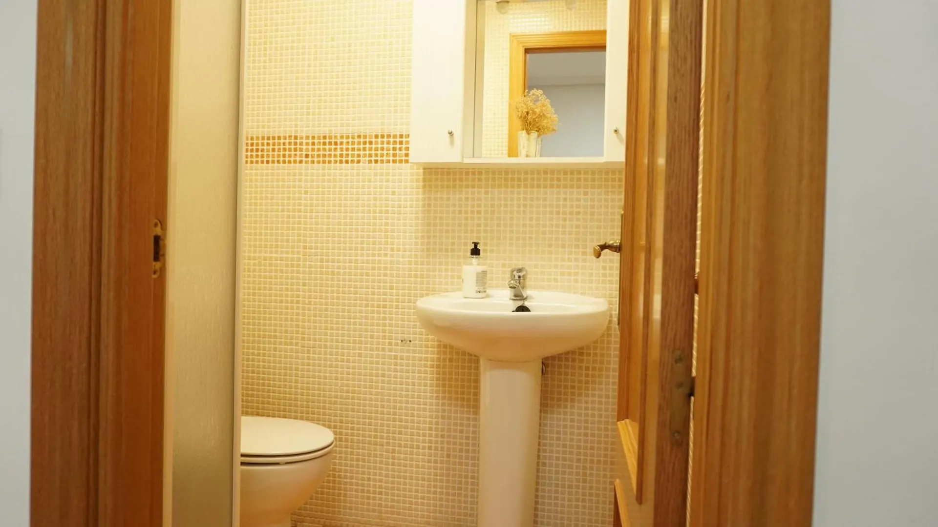 Real Appartement Toledo